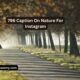 796 Caption On Nature For Instagram