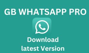Download Gb WhatsApp pro