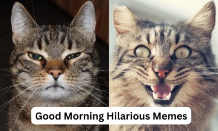 Good Morning Hilarious Memes