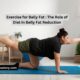 Exercise for Belly Fat