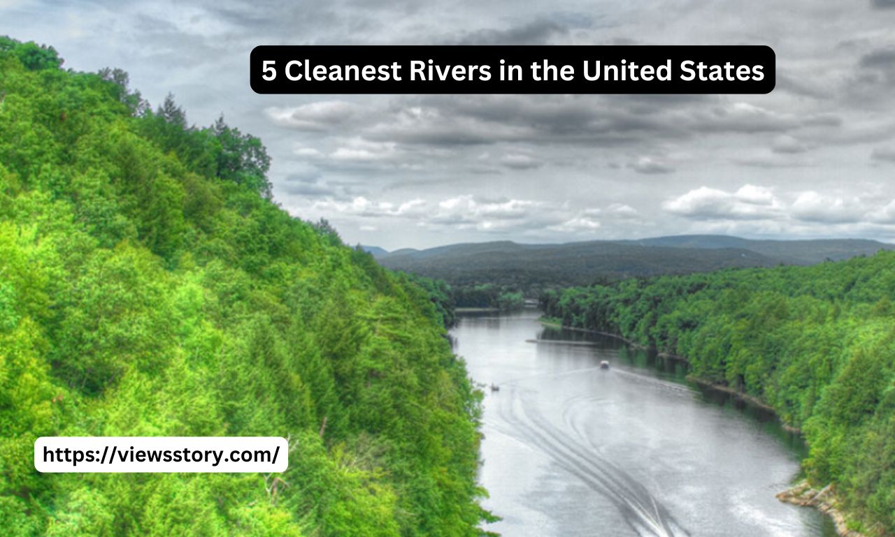 5 Cleanest Rivers in the United States