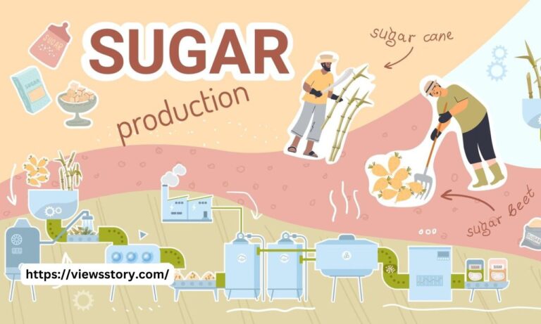 Top 10 Sugar Factory in India